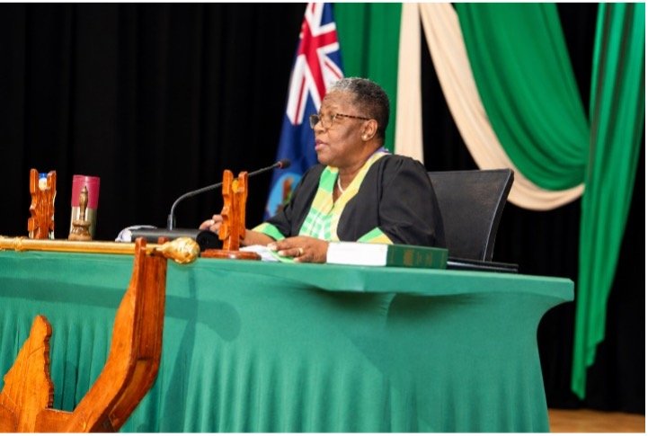 Opening of the 2026 Parliamentary Year: Strengthening Democratic Governance